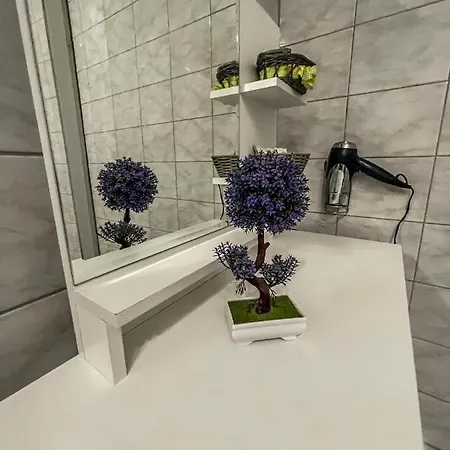 Elizabeth Appartement Tokaj